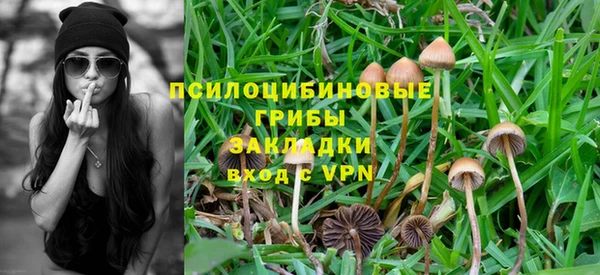 ешки Алексин