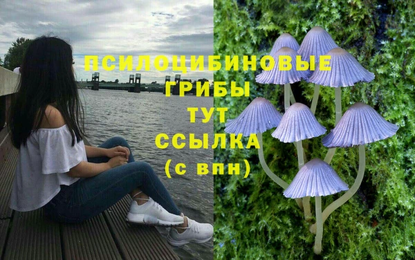 ешки Алексин