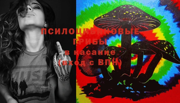 ешки Алексин