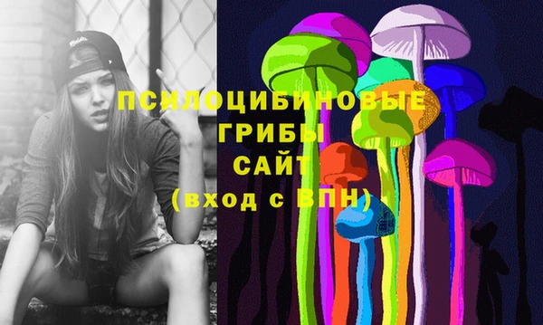 гидра Алзамай