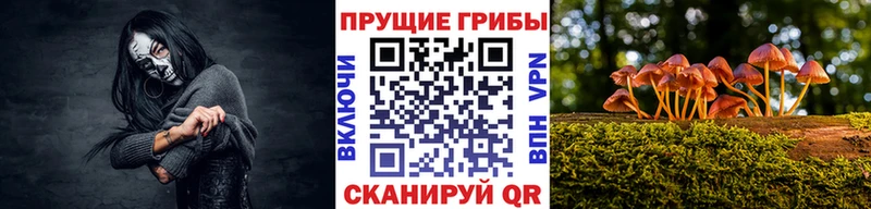как найти   Лениногорск  Псилоцибиновые грибы прущие грибы 